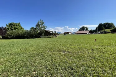 Traumhaftes Grundstück in Zell am Moos – 1120m² für Ihr Bauprojekt!