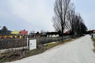 Großes Grundstück mit vielen Möglichkeiten