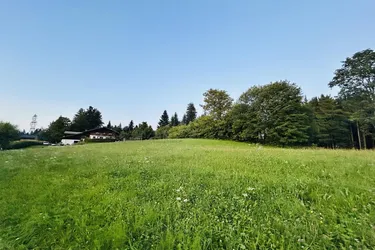 Seltene Gelegenheit - Sonniges Liebhaber-Grundstück mit traumhafter Aussicht am Pfänder / Bodensee