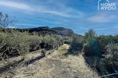 Exklusives Baugrundstück in Sineu am Puig de Sant Nofre, 17.984 m² Naturidylle, 269 m² bebaubar