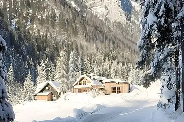 Sonnengeküsstes Waldhaus in Gosau – Rückzugsort in traumhafter Natur