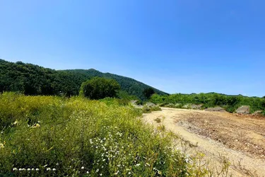 GEWERBEGRUNDSTÜCK! In Toplage Graz!