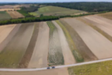 Landwirtschaftliches Grundstück in der KG Auersthal - 3103m2