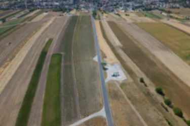 Landwirtschaftliches Grundstück in der KG Auersthal - 4777m2
