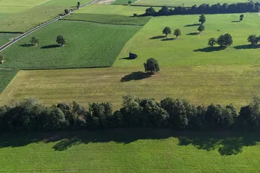 Landwirtschaftliche Flächen in Langkampfen – über 5 Hektar in attraktiver Lage