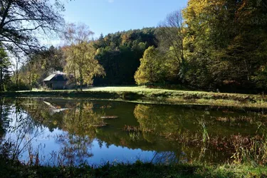 4,7 ha mit Fischbestand - eintauchen in Tauchen