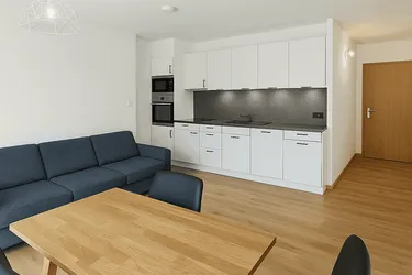 Moderne 2-Zimmer-Wohnung in Bludenz-Ludesch. Voll möbliert &amp; Betriebskosten inklusive!
