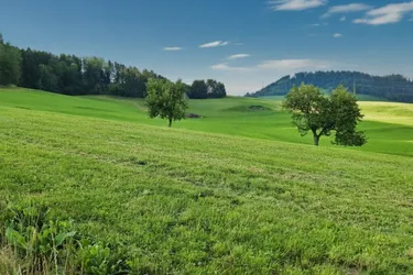 Ihr Platz an der Sonne: Exponierte Aussichtslage eingebettet in traumhafter idyllischer Wiesenlandschaft