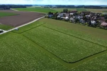 WEITBLICK Sierning – 705 m² Baugrund mit Aussicht, provisionsfrei