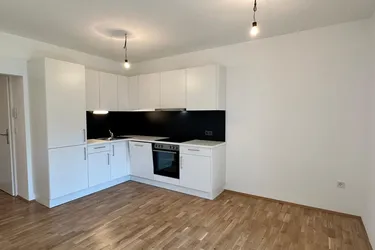 Ab 1.12. - FH-Nähe - Eggenberg - 3 Zimmer