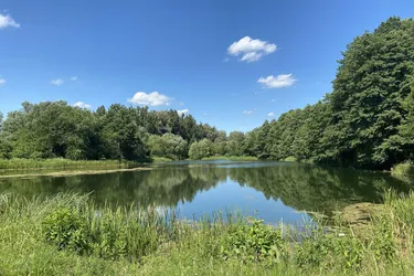 Wohnen am Mühlwasser – Erstbezug: Neubauwohnungen mit Eigengarten, Balkon oder Terrasse in naturnaher Ruhelage nahe der Lobau