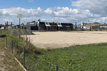 Gewerbegrundstück 4034m² an der B3 in Perg