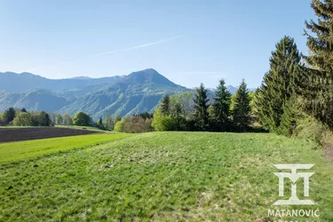 Großzügiges Baugrundstück mit 2.338 m² in sonniger Aussichtslage – Ruhe, Natur und Weitblick in die Karawanken