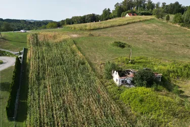 9,2 ha Freiland mit Baubewilligung für Schweinezucht bzw. anderweitige Tierhaltung (3.471m² BGF)