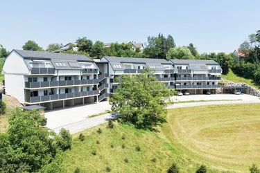 Blick ins Grüne | Zuhause in Vasoldsberg