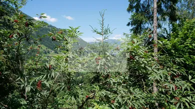 Aussicht
