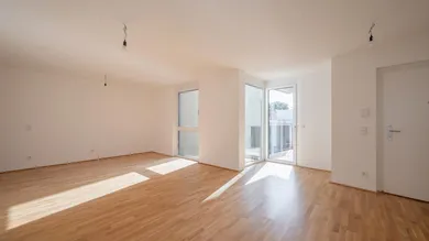 _IMM6335
