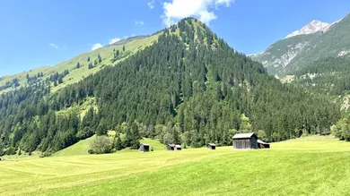 Grundstück