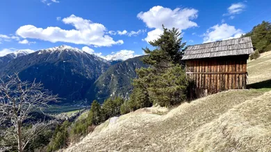 Bergwiese mit Heustadl