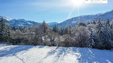 Ausblick