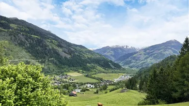 Ausblick