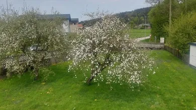 914, Baugrund