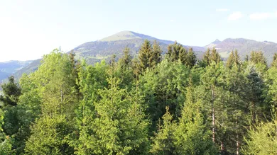 Aussicht