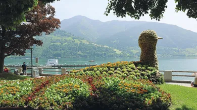 Zeller See