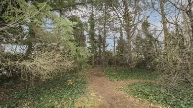 Garten hinterm Haus