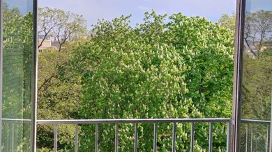 Dadlerpark
