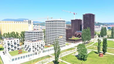 Luftbild