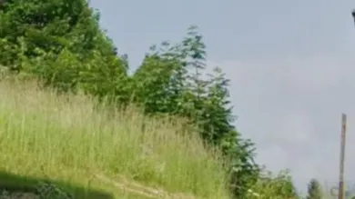 Blick von der Strasse