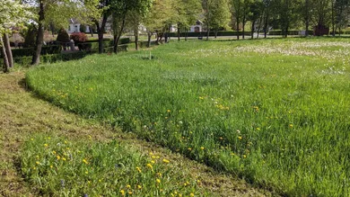 Sonnig, flach, zentral gelegen