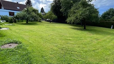 IMG_0497