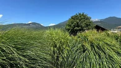 Ihr Ausblick vom Garten