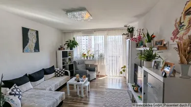 1-Zimmer1