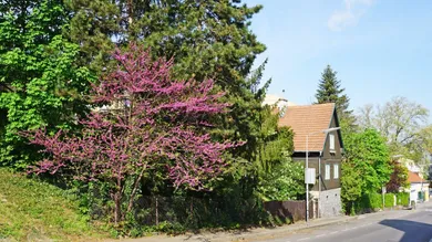 Südostseitige Ansicht von der Straße