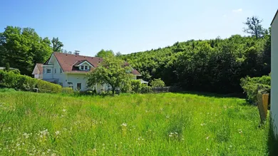 Blick nach Osten Richtung Wald