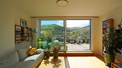 Wohnzimmer Ausgang Dachterrasse