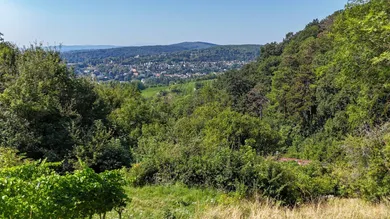 Luftbild