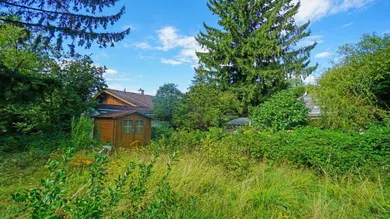 NW Garten mit Gartenhaus