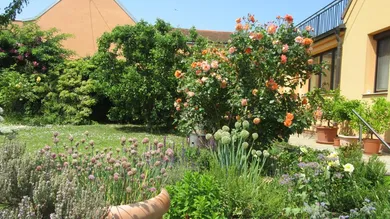 1 Garten