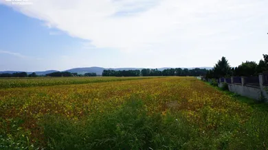 Weitblick vom Grundstück