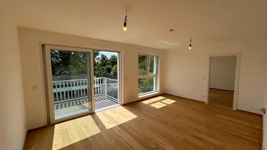 Wohnzimmer + Küche