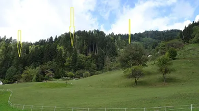 Slide 1