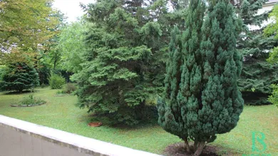 Terrasse - Garten