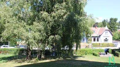 Ausblick