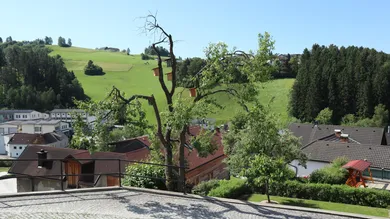 Aussicht