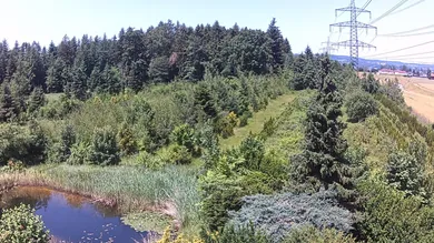 Grundansicht Richtung Norden