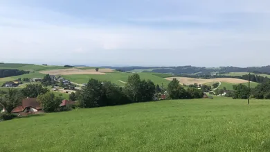 gesamte Projektfläche